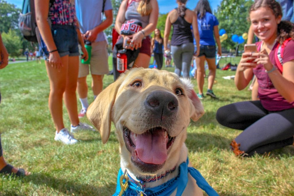 Photo of a happy dog surrounded by people, by Kyle Anthony Chrystal, submitted for the CIHF photo competition