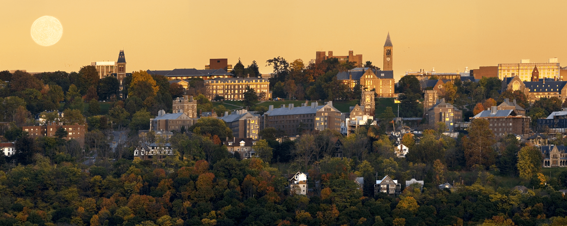 View of Cornell's campus